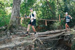 BIB: 
                            <button type="button" onclick="openModal(27744259)" class="btn btn-primary btn-sm float-right btn-popup" data-toggle="modal" data-target=".modal-high-quality">
                        <i class="fas fa-shopping-cart"></i> Add to Cart
                    </button>
                                            <button type="button" onclick="isThisMe(27744259, true)" class="btn btn-success btn-sm float-right btn-popup btn-isme hidden" data-toggle="tooltip" data-placement="bottom" title="นี่คือรูปของคุณใช่ไหม คลิกที่นี่เพื่อเอาเข้าอัลบั้ม">
                        <i class="fas fa-plus"></i> Add to album
                    </button>
                    <button type="button" onclick="isThisMe(27744259, false)" class="btn btn-warning btn-sm float-right btn-popup btn-isnotme hidden">
                        <i class="fas fa-ban"></i> Remove from album
                    </button>